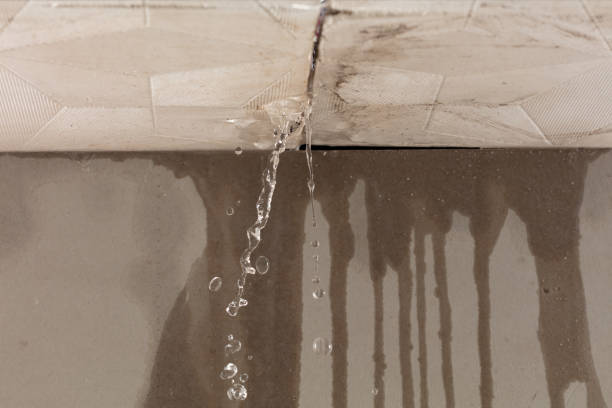 Professional Structural Drying technician working in Dresser, WI